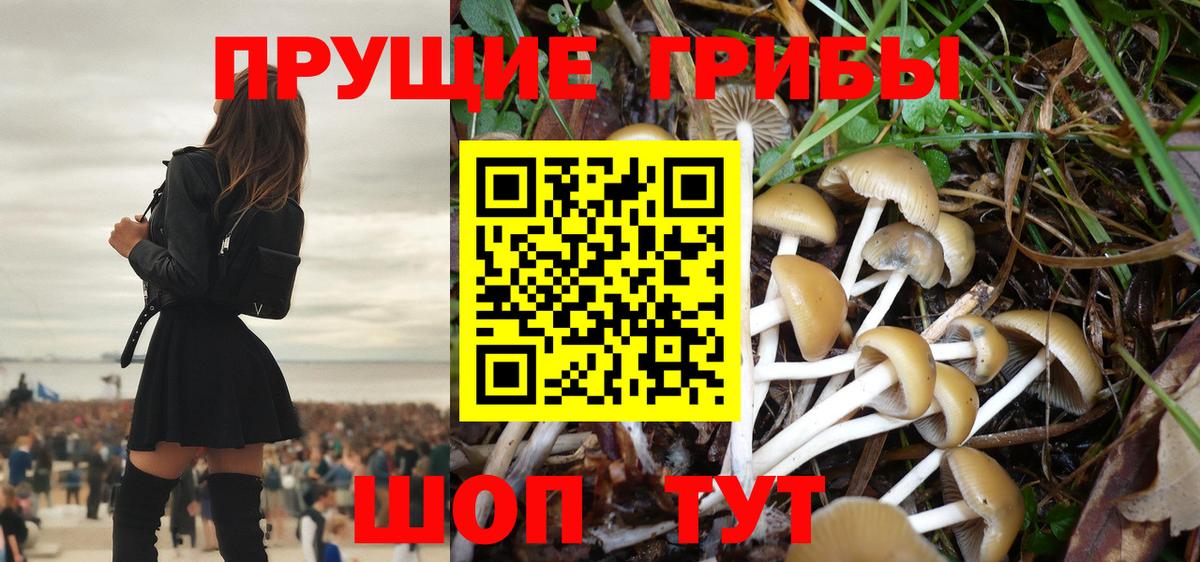 Псилоцибиновые грибы прущие грибы  Галлюциногенные грибы Cubensis  Вход с VPN  Миасс 