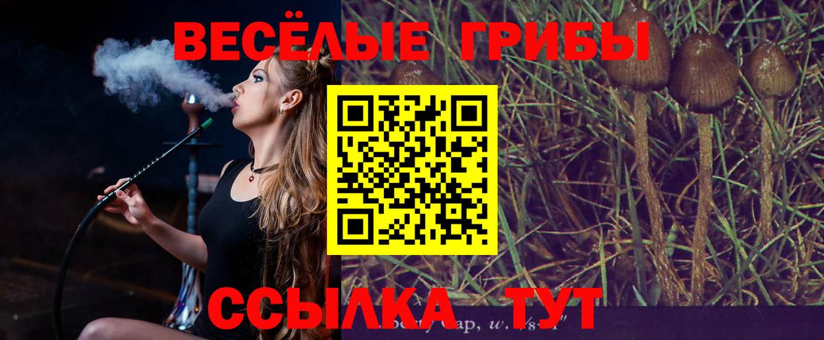 Псилоцибиновые грибы прущие грибы Миасс